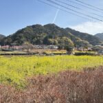 伊豆半島の河津町へ　スタッフブログ